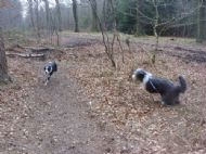 & running...................